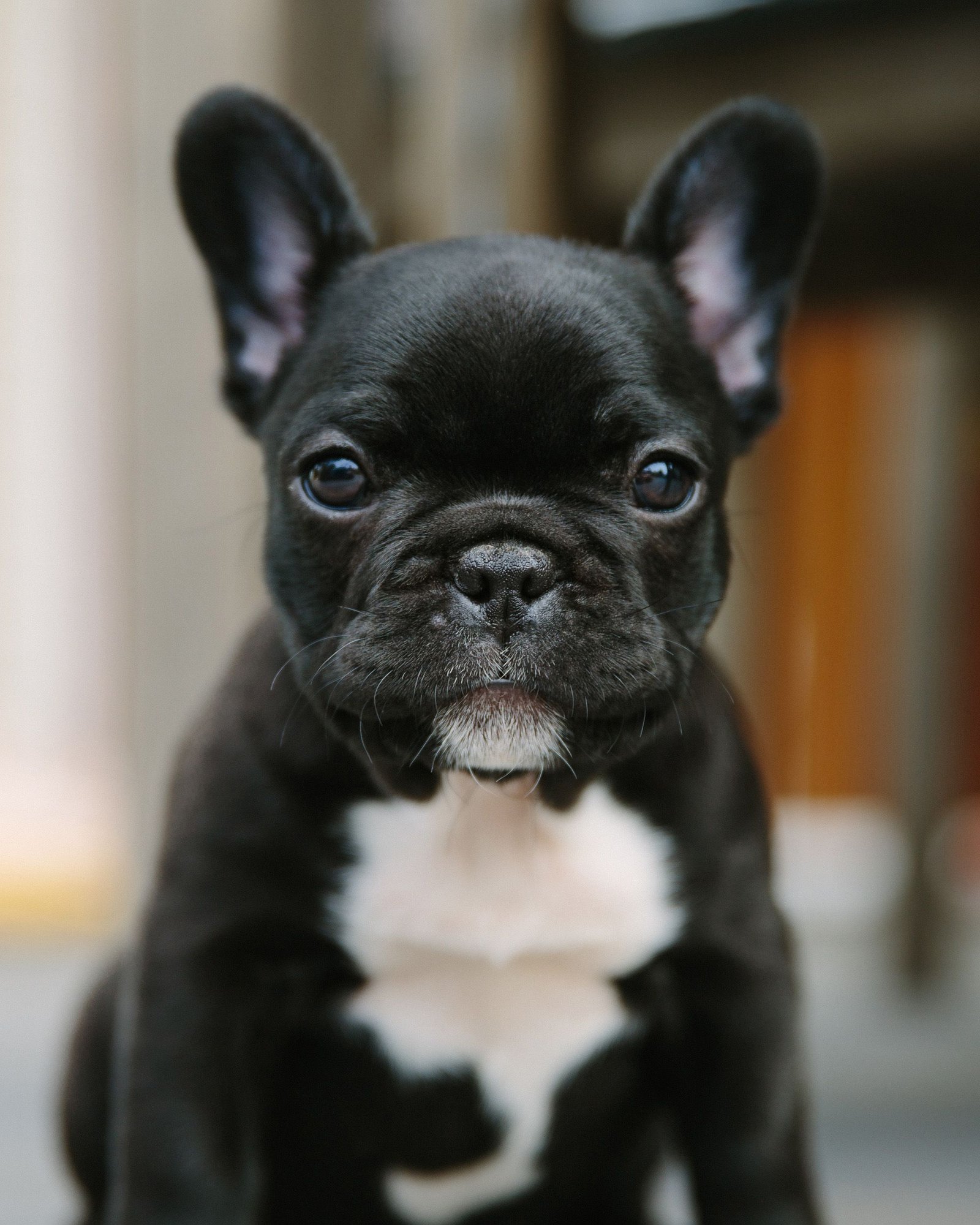 about-2-free-img.jpg pexels isaak cole 2147859173 37909292